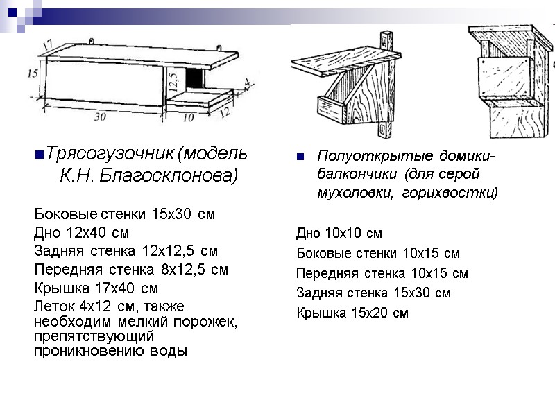 Трясогузочник (модель       К.Н. Благосклонова)  Боковые стенки 15х30